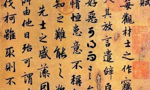 复方丹参药丸-复方丹参颗粒丸说明书网复方丹参颗粒正确吃法用量知识网站,分享复方丹参颗粒丸说明书及用量大全